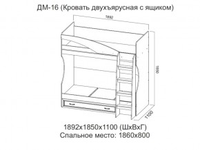 ДМ-16 Кровать двухъярусная с ящиком в Челябинске - chelyabinsk.магазин96.com | фото