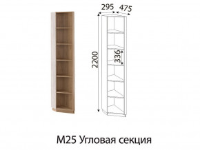 М25 Угловая секция в Челябинске - chelyabinsk.магазин96.com | фото