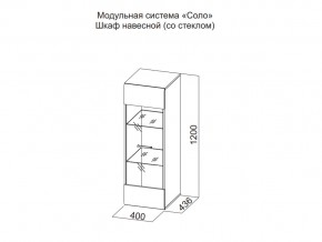 Шкаф навесной (со стеклом) в Челябинске - chelyabinsk.магазин96.com | фото