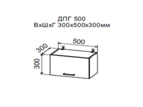 Шкаф верхний ДПГ500 горизонтальный в Челябинске - chelyabinsk.магазин96.com | фото