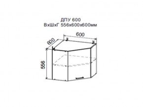 Шкаф верхний ДПУ600 угловой в Челябинске - chelyabinsk.магазин96.com | фото
